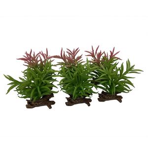 product/t/e/terra-della_242-465868.jpg