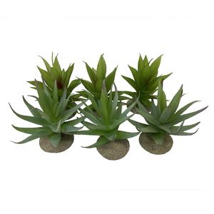 product/t/e/terra-della_242-465899.jpg