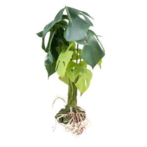product/t/e/terra-della_242-480793_4-nw050724.jpg
