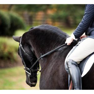 product/t/h/thinline_2212-st-b-sh_black-black_3.jpg