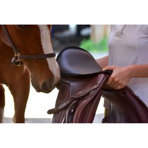 product/t/h/thinline_8898-db_dark-brown_1.jpg