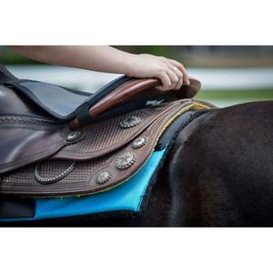 product/t/h/thinline_8898-db_dark-brown_3.jpg