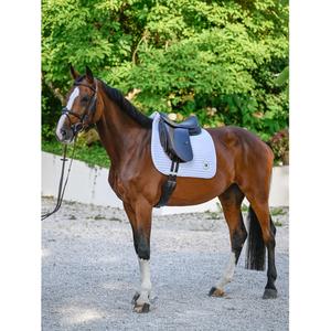 product/t/o/tommy-hilfiger-equestrian_th16hsap072-001_optic-white_4.jpg