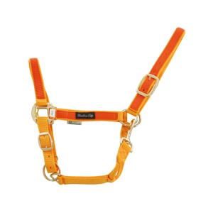 ca00021-gold-orange-licol-pour-cheval-en-nylon-colore-umbria-equitazione-ca00021-gold-orange