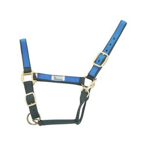 ca00021-green-royal-licol-pour-cheval-en-nylon-colore-umbria-equitazione-ca00021-green-royal