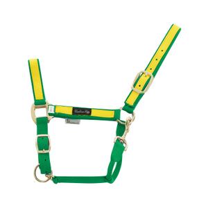 product/u/m/umbria-equitazione_ca00021-green_yellow_ca00021-green-yellow_1.jpg