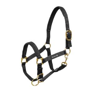 ca00022-black-licol-pour-cheval-en-nylon-avec-renfort-en-neoprene-umbria-equitazione-ca00022-black