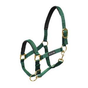 ca00022-green-licol-pour-cheval-en-nylon-avec-renfort-en-neoprene-umbria-equitazione-ca00022-green
