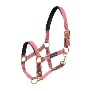 ca00022-pink-licol-pour-cheval-en-nylon-avec-renfort-en-neoprene-umbria-equitazione-ca00022-pink