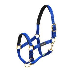 ca00022-royalblue-licol-pour-cheval-en-nylon-avec-renfort-en-neoprene-umbria-equitazione-ca00022-royalblue