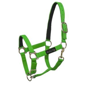 ca00040-lime-licol-pour-cheval-en-nylon-avec-renfort-de-peau-umbria-equitazione-ca00040-lime