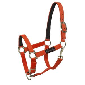 ca00040-orange-licol-pour-cheval-en-nylon-avec-renfort-de-peau-umbria-equitazione-ca00040-orange