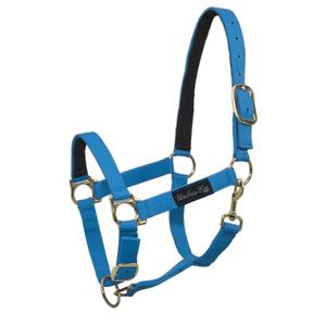 ca00040-turquoise-licol-pour-cheval-en-nylon-renforcement-en-cuir-umbria-equitazione-ca00040-turquoise