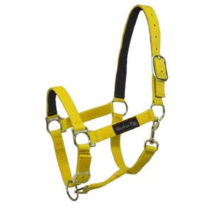 ca00040-yellow-licol-pour-cheval-en-nylon-renforcement-en-cuir-umbria-equitazione-ca00040-yellow