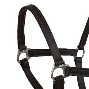 product/u/m/umbria-equitazione_ca00071-brown_brown_2.jpg