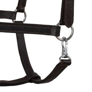 product/u/m/umbria-equitazione_ca00071-brown_brown_3.jpg