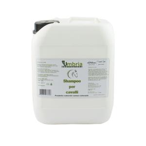 product/u/m/umbria-equitazione_pu00401_white_1.jpg