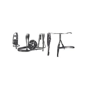 product/u/m/umbria-equitazione_se00570_noir_1.jpg