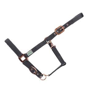 15050006-604-399-licol-rembourre-pour-cheval-usg-everyday-rose-gold-col