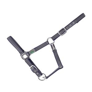 15050007-023-400-licol-rembourre-pour-cheval-usg-everyday-anthracite-navy