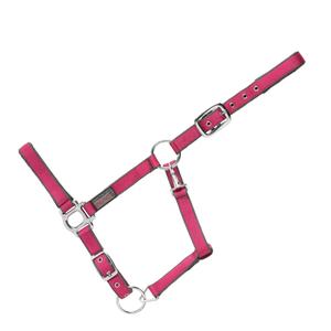 15050007-527-400-licol-rembourre-pour-cheval-usg-everyday-fuchsia-grey