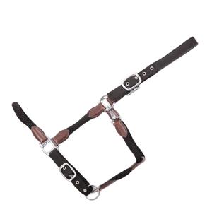 15050031-233-400-licol-pour-cheval-usg-dublin-black-black
