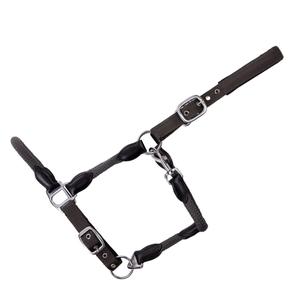 15050031-270-400-licol-pour-cheval-usg-dublin-anthracite-black