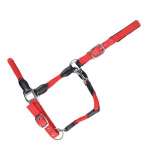 15050031-437-400-licol-pour-cheval-usg-dublin-red-black