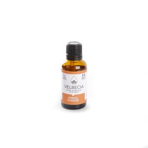 product/v/e/velbecia_3004555.jpg