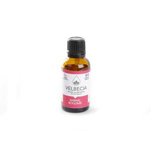 product/v/e/velbecia_3004883.jpg