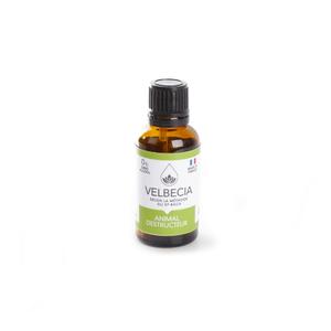 product/v/e/velbecia_3004884.jpg