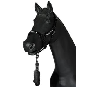 cc-v-u9070-26103-00090-ensemble-licol-et-longe-equitation-vestrum-locri-nero-tu