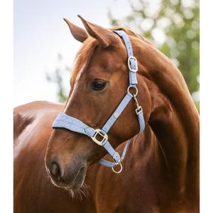 product/w/a/waldhausen_1121254-wb_bleu-pastel_2.jpg