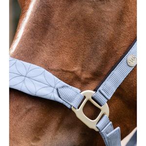 product/w/a/waldhausen_1121254-wb_bleu-pastel_3.jpg