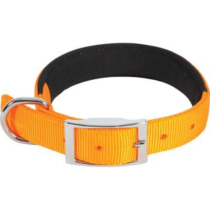 466729ora-collier-pour-chien-zolux-orange-orange-orange-55-cm