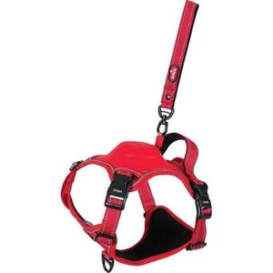 product/z/o/zolux_466850rge_rouge_2.jpg