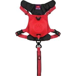product/z/o/zolux_466850rge_rouge_3.jpg