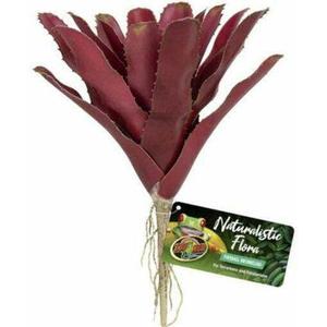 product/z/o/zoomed_387905_violet_1.jpg